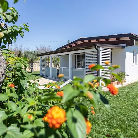 House In Con Piscina